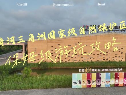 保姆级游玩攻略来啦!关于黄河三角洲国家级自然保护区你知道的和不知道的,都在这里!#旅游攻略 #黄河入海口
(部分素材来源于网络)