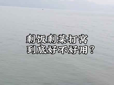 剩饭剩菜打窝好不好用?连续7天每天打窝一桶,来看一下结果怎么样#钓鱼 #打窝 #钓鱼人就是这么疯狂