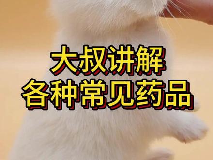 养兔子应该备什么药?