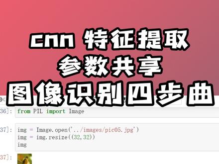 效果展示真神秘
图像识别四步曲
#python #图像识别 #pytorch