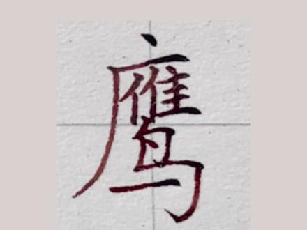 第40集|部编版语文四年级下册生字“鹰”#硬笔书法教学 #规范字教学 #语文生字