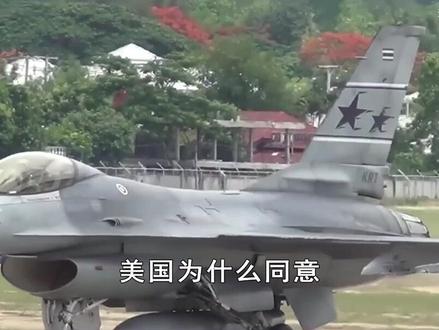 美国默许泰军F-16参战,偏偏拒绝巴铁使用,稀土资源是关键 #抖音热评