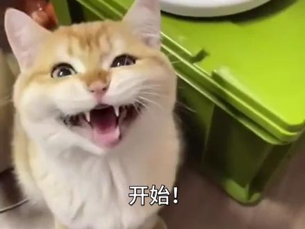 哪个才是动物的真实叫声啊?请选择! #搞笑配音