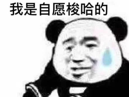 来看看今天多少人是红的#商业航天#基金理财#真实生活分享计划