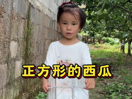 种正方形的西瓜 #大茉公主