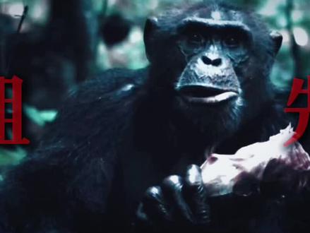 #化石 2012年,一根骨头改写了人类历史,她是9万年前的第一代混血儿,妈妈是尼安德特人,爸爸是丹尼索瓦人,证明人类祖先真的混过血!但这还不算什么,双头恐龙连体婴、抱着取暖淹死的跨物种CP、办事儿时被毒死的乌龟情侣、保存了1亿年还能看出颜色的恐龙木乃伊#探索宇宙 #知识前沿派对 #青年创作者成长计划 #抖音精选