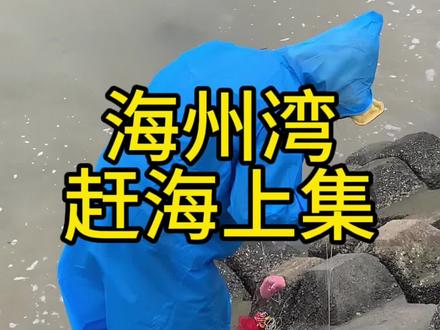 海州湾赶海 真有料 赶海趣事(上)
#赶海 #户外 #抓螃蟹 #海州湾 #赣榆
