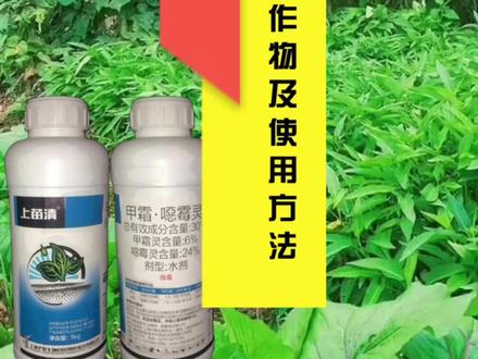 甲霜恶霉灵适用作物及使用方法#抖音助农 #新农人计划 #三农 #农业种植 #杀菌剂