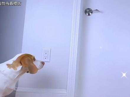 #幼儿手指游戏 #我要上热门🔥 #甜柚手势舞 @抖音小助手