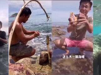 荒岛生存只认平头哥和大林哥