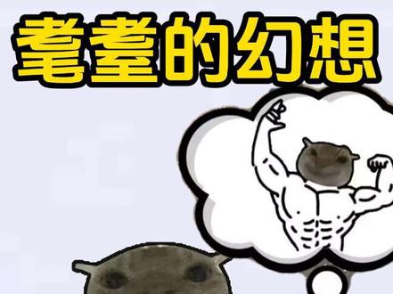 #鼠鼠的幻想 #鼠鼠 #梗
耄耋的幻想。鼠鼠的幻想。 这只猫就叫swagcat,是海外的猫,叫他鼠鼠猫,是因为p图之后长得像仓鼠,有人说他是髦髦,那是某个博主做视频单独给他取得名字,有人说他是广西大师,那是因为引进到国内的时候,配的是广西的魔性歌曲,都不是他本来的名字,关于这只猫的来源,已经有无数过人论据过了,你们感兴趣可以直接去搜 鼠鼠两个字