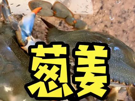 又到了吃蓝蟹的时候!#美食分享官 #美食推荐官 #美食#螃蟹