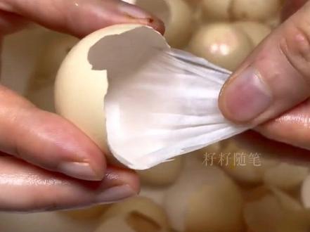 你知道凤凰衣吗#凤凰衣 #带你涨知识