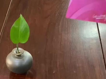 丹尼斯购物卡卡各面值介绍
德信泉购物卡功能介绍
#回收