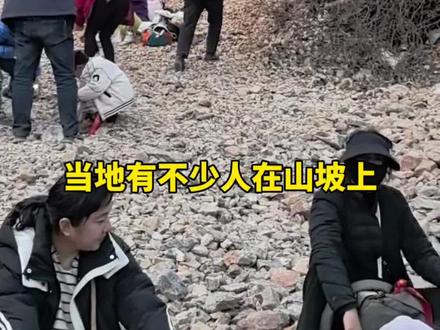 3月12日消息,河南新密一山坡“免费挖玉”爆火,当地有不少人在山坡上带着铁锹和袋子一起挖。当地政府:网传有人挖出数斤黄金,应是有人故意炒作。