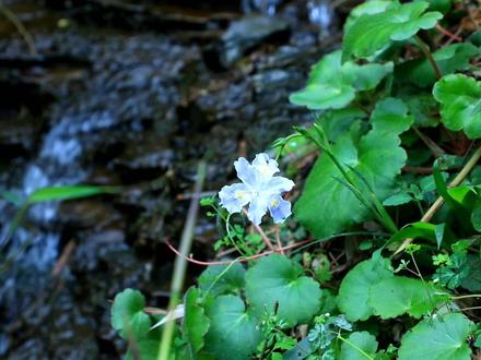 中国小哥打造一张实木床,榫卯连接全程无钉子,制造过程真有感觉
