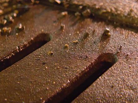 丧尸病毒在它面前就是小弟,从沾上绿液到彻底失控#丧尸 #绿液惊魂