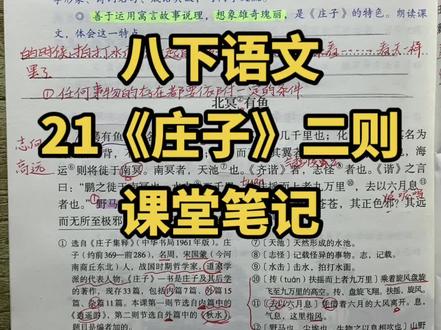 八下语文文言文单元21课,赶紧背诵起来吧
每晚18:00直播#初中