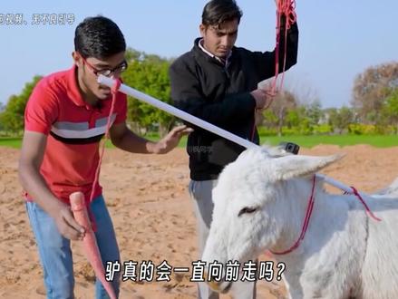 为什么去泰国千万别用信用卡!!!#dou是知识点 #省流侠