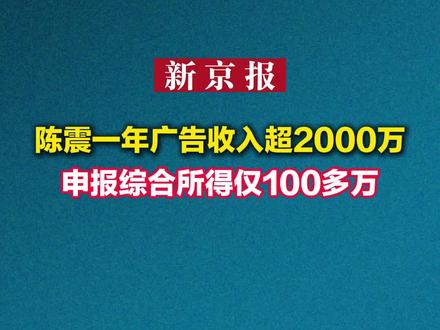 陈震一年广告收入超2000万 申报综合所得仅100多万