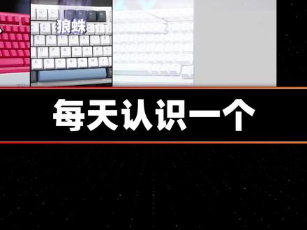 每天认识一个外设品牌——老炮狼蛛 #科技数码 #DIY电脑 #键盘