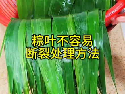 粽叶不断裂不变色的正确处理方法#芦苇叶 #包粽子 #粽叶处理方法 #粽子叶 #满级吃商通关赛