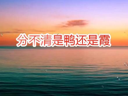 课文朗读 二上-我爱阅读-分不清是鸭还是霞