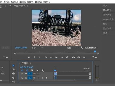 第20课导入视频素材#剪辑教程 #pr教程 @DOU+小助手