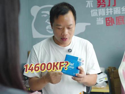14600KF和9600X到底选哪个? #diy电脑