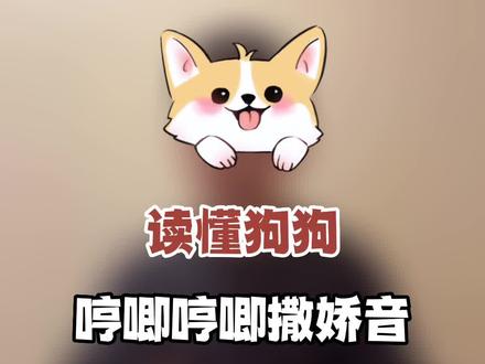 30秒读懂狗狗哼唧哼唧撒娇音#萌宠 #狗狗 #宠物出道计划 @DOU+小助手