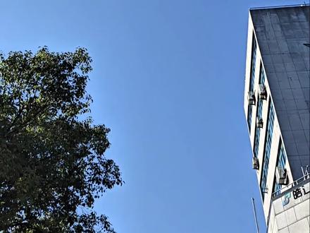 新的王登场了#电动车 #小牛#NX#NX风速 #FX风速