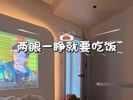 两眼一睁就要吃饭! #萌宠日常记录 #狗狗的心思都写在脸上了 #宠物vlog #大眼橙投影仪#大眼橙r3ultra