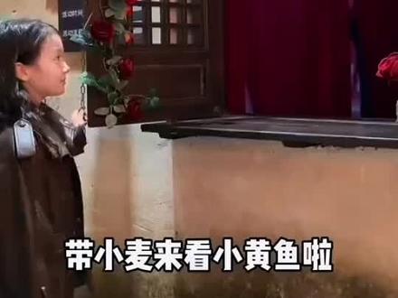 @葛仙村npc小黄鱼(本人) 好搞笑啊你小黄鱼