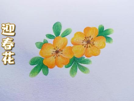 入门小画迎春花 #彩铅 #夺冠2021