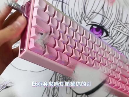 狼蛛HERO68HE,各种热点要素拉满,堆料也扎实,性价比拉满的磁轴键盘hero68,真的很香
#磁轴键盘 #狼蛛 #无畏契约 #狼蛛HERO68