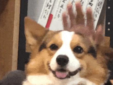 以前叫舔屏,现在叫肩并肩。追星女的天变了!#多闪2026马上遇见 #追着陈哲远跑到了多闪世界