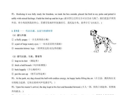 读后续写,动物类 经典表达 一网打尽! 鸟,狗,猫,狼,熊,给你最经典的表达#高中英语 #高中英语老师 #读后续写 #高中生 #英语教学
