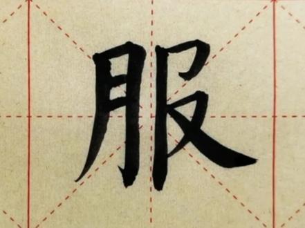 我们一起学汉字吧!每日一字,与字成说!“服” #规范字书写 #练字 #每天学习一点点 #每日一练 #一起学习 #练字静心