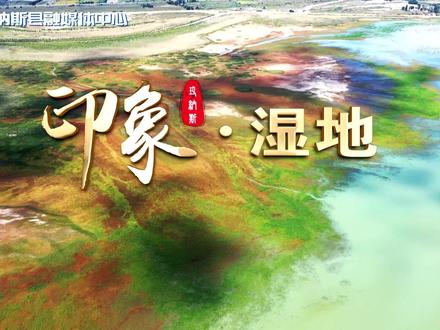 天山金凤凰,碧玉玛纳斯。玛纳斯县,俗称凤凰城,历史渊源流长,文化底蕴深厚,是天山北麓一颗璀璨的明珠。玛纳斯县是大美新疆的缩影,南部山峦叠翠、绿草茵茵,中部玛河滔滔、沃野千里,北部大漠戈壁、奇幻绝伦。新疆第二大网红公路S101公路的百里丹霞是天山的生态封面、肯斯瓦特像遗落在天山中部的绿宝石。“国家湿地公园”“国家森林公园”“中国碧玉之都”“中国葡萄酒之都”四张名片享誉天山南北。党的十八大以来,玛纳斯县亮丽蝶变,各项事业蓬勃发展,呈现出更加团结和谐、更加繁荣美丽、更加幸福美好的新气象新局面。 为喜迎党的二十大胜利召开,玛纳斯县融媒体中心推出《喜迎二十大 印象玛纳斯》系列短视频,让我们跟随镜头,一起领略玛纳斯十年来的嬗变之美。#旅行推荐官 #文化旅游 #云游玛纳斯
