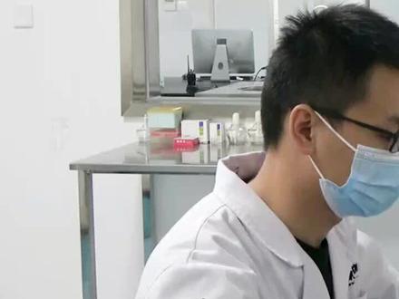 革兰氏染色与显微镜检查法#实验室 #科普 #bncc培训中心