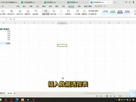EX数据透视图表格美化