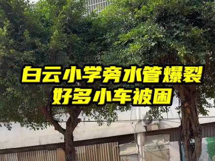 水管爆裂 #抖音搜索流量来了 刚刚白云小学旁水管爆裂困住了好多小车#水管爆裂