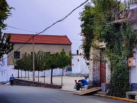 位于河顺镇西边,因村北有马氏祖莹得名。据《马氏家谱》记载,其始祖名叫马立,元朝末年为躲避兵乱,由山东省巨鹿县枣针岭村迁居林县曲阳村。二世祖马贰又从曲阳迁到柳泉,并在河顺西北的天堂山南侧创立祖莹。“马家坟”由此而始。明朝万历十年(1582)马忝受家族委托,携家人从柳泉迁此定居,负责看管坟墓。随着时间推移,人口增长,逐步发展成了今日的“马家坟”村。翻阅明代林县史料,马氏家族人才辈出。三世马禺任兖州府判(从七品),四世马骥任唐山训导(正七品),六世马图任沁州知州(正五品),七世马卿系弘治十八年进士,官至正三品,人称马都堂,总督全国河道运输。八世马骁系平凉府推官。马图、马卿父子同祀林县“乡贤祠”。在《重修林县志》中,马图、马卿、马骁三人皆有传记。在马家坟老莹,有三世马禺于正统七年(1442)十月为其父马贰立的“马府君墓表”祖碑,还有大明嘉靖皇帝御旨祭马卿的龙头巨碑。1979年,马家坟被列为:林县重点文物保护单位!#马家坟