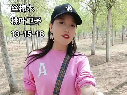 有种丝棉木叫白杜又叫桃叶卫矛,优点是根系发达,还有很多彩叶和造型衍生品种。