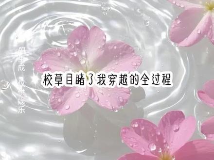 《木北实力》,后序→#番茄畅听