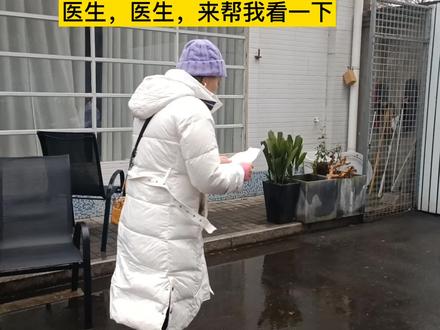 什么是牛头不对马嘴,答非所问。