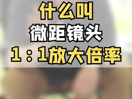 什么叫微距镜头1:1放大倍率?#摄影 #单反镜头 #微距镜头 #摄影教程 #姜睿聊摄影 @DOU+小助手