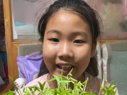 绿豆芽生长记#你们的作业完成了吗#四年级语文