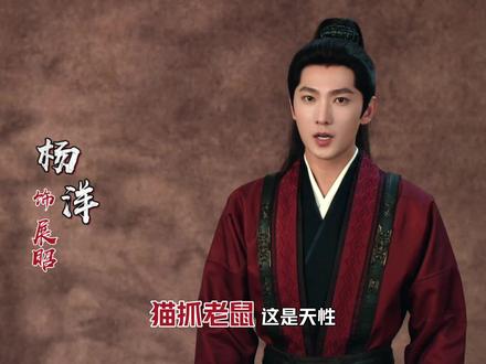 杨洋、方逸伦“猫鼠兄弟”不打不相识!#雨霖铃 #杨洋 #方逸伦
