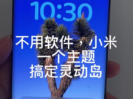 不用软件,小米一个主题搞定灵动岛,桌面也可以显示!#小米灵动岛主题 #小米主题 #miui主题推荐 #小米手机 #数码科技